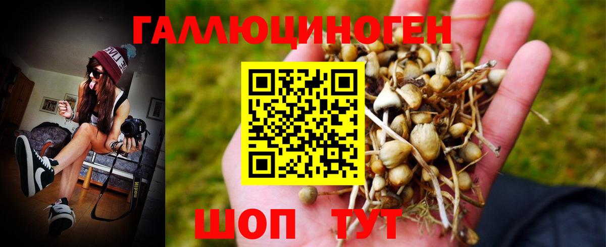Псилоцибиновые грибы MAGIC MUSHROOMS Саратов